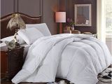 Best Fluffiest Down Alternative Comforter Super Oversized soft and Fluffy Goose Down Alternative