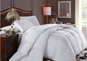 Best Fluffiest Down Alternative Comforter Super Oversized soft and Fluffy Goose Down Alternative