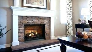 Best Gas Logs Consumer Reports Best 25 Fireplace Inserts Ideas On Pinterest Wood