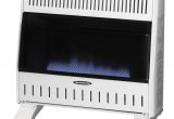 Best Indoor Propane Heaters for Large Rooms Reddy Heater 30 000 Btu Blue Flame Dual Fuel Wall Heater with Blower