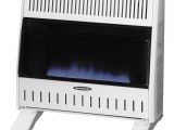 Best Indoor Propane Heaters for Large Rooms Reddy Heater 30 000 Btu Blue Flame Dual Fuel Wall Heater with Blower