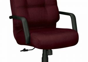 Best Office Chair for 300 Lbs Office Chair 300 Lbs Inspirational Pillow soft Model