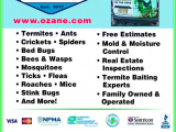 Best Pest Control toms River Nj Ozane Termite Pest Control toms River Nj 08755