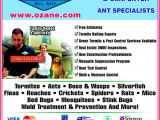 Best Pest Control toms River Nj Ozane Termite Pest Control toms River Nj 08755