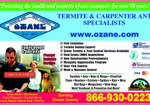 Best Pest Control toms River Nj Ozane Termite Pest Control toms River Nj 08755