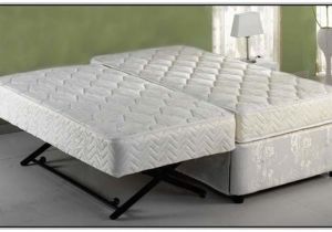 Best Pop Up Trundle Beds for Adults Trundle Beds Pop Up and Pop On Pinterest