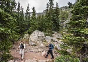 Best Trees for Colorado Colorado National Park Gets top Ranking for 2016 Visits Colorado