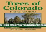 Best Trees for Colorado Pdf Trees Of Colorado Field Guide Tree Identification Guides Full