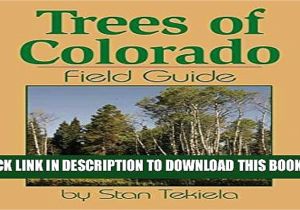 Best Trees for Colorado Pdf Trees Of Colorado Field Guide Tree Identification Guides Full