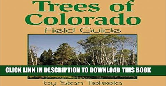 Best Trees for Colorado Pdf Trees Of Colorado Field Guide Tree Identification Guides Full