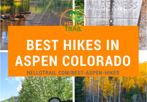 Best Trees for Colorado What are the Best Day Hikes In aspen Hiking Trails Pinterest