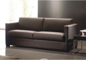 Best Type Of Leather for sofa the Best Guide to the Variety Style Of sofa and Couches