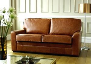 Best Type Of Leather sofa for Dogs Best Types Of Leather sofas Catosfera Net