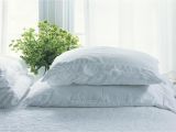 Best Type Of Pillow Stuffing Types Of Bed Pillows