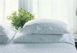 Best Type Of Pillow Stuffing Types Of Bed Pillows