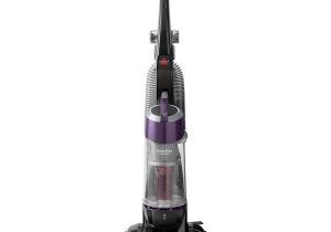 Best Vacuum for Dust Mite Allergies Must Have Appliances for the Allergy Sufferer