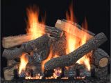 Best Vented Gas Logs Gas Logs