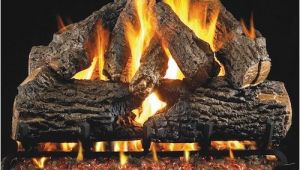 Best Vented Gas Logs top 10 Best Rated Vent Free Gas Logs In 2018 Reviews