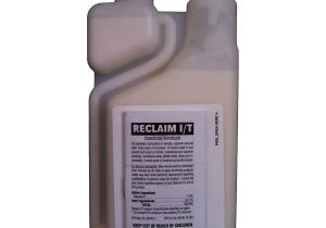 Bifen It for Fleas Amazon Com Reclaim It 16oz Garden Outdoor