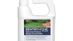 Bifen It for Fleas Amazon Com Sentry Home Flea and Tick Yard and Premise Spray 32 Oz