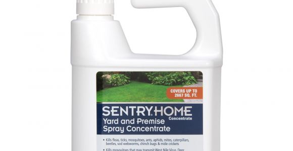 Bifen It for Fleas Amazon Com Sentry Home Flea and Tick Yard and Premise Spray 32 Oz