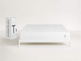 Big Fig Mattress Bad Reviews Amazon Com Tuft Needle Queen Mattress Bed In A Box T N Adaptive