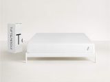 Big Fig Mattress Reviews Amazon Com Tuft Needle Queen Mattress Bed In A Box T N Adaptive