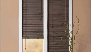 Big Lots Vinyl Mini Blinds Blinds Interesting Big Lots Blinds Window Blinds Home