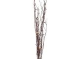 Birch Branches Hobby Lobby 49 Best Images About Prom 2016 On Pinterest Bottle Vase