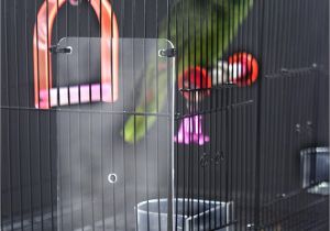 Bird Cage Seed Guard Acrylic Bird Cage Seed Guard Acrylic Birdcage Design Ideas