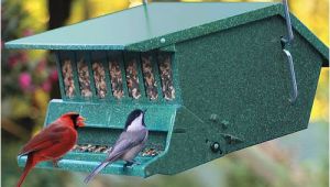 Birds Choice Bird Feeders Bird Feeder Christmas Gifts for the Home