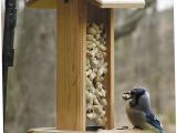 Birds Choice Bird Feeders Birds Choice Bluejay Bird Feeder with Hanging Cable