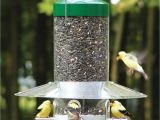 Birds Choice Bird Feeders Birds Choice Np43 Classic Hanging Feeder atg Stores