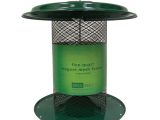 Birds Choice Bird Feeders Shop Birds Choice Sunflower Steel 5 Quart Tube Bird Feeder