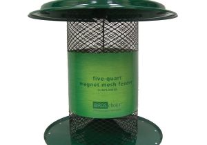 Birds Choice Bird Feeders Shop Birds Choice Sunflower Steel 5 Quart Tube Bird Feeder