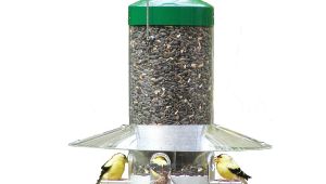 Birds Choice Classic Bird Feeder Bird 39 S Choice Classic Hanging 12 Quot Bird Feeder