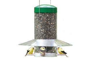 Birds Choice Classic Bird Feeder Bird 39 S Choice Classic Hanging 12 Quot Bird Feeder