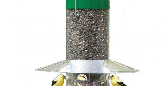 Birds Choice Classic Bird Feeder Bird 39 S Choice Classic Hanging 12 Quot Bird Feeder