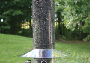 Birds Choice Classic Bird Feeder Birds Choice Hanging 20 Quot Classic Bird Feeder with Baffle