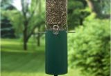 Birds Choice Classic Bird Feeder with Built-in Squirrel Baffle Bird Feeders Store Online Birds Choice Classic Bird