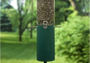 Birds Choice Classic Bird Feeder with Built-in Squirrel Baffle Bird Feeders Store Online Birds Choice Classic Bird