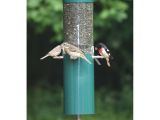 Birds Choice Classic Bird Feeder with Built-in Squirrel Baffle Birds Choice Classic Bird Feeder with Squirrel Baffle and