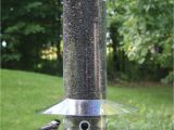 Birds Choice Classic Bird Feeder with Squirrel Baffle and Pole Birds Choice Hanging 20 Quot Classic Bird Feeder with Baffle