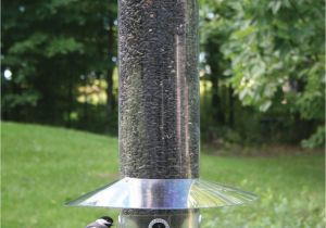 Birds Choice Classic Bird Feeder with Squirrel Baffle and Pole Birds Choice Hanging 20 Quot Classic Bird Feeder with Baffle
