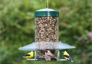 Birds Choice Classic Bird Feeder with Squirrel Baffle and Pole Duncraft Com Birdschoice Classing Hanging Feeder