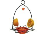 Birds Choice Flower oriole Bird Feeder Small orange Birds Choice Off oriole Flower Feeder Pricefalls Com