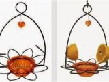 Birds Choice Flower oriole Bird Feeder Small orange Wild Birds Unlimited Mid Michigan Latest Posts