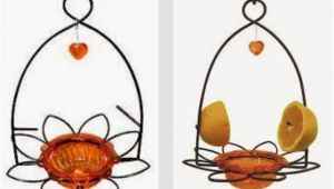 Birds Choice Flower oriole Bird Feeder Small orange Wild Birds Unlimited Mid Michigan Latest Posts