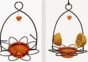 Birds Choice Flower oriole Bird Feeder Small orange Wild Birds Unlimited Mid Michigan Latest Posts