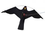 Black Hawk Pest Control Rockford Il Bird Scarer Flying Hawk Kite for Garden Scarecrow Yard and House